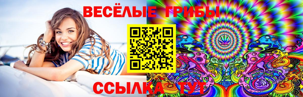 Зеленокумск  Псилоцибиновые грибы Psilocybine cubensis  Вход с VPN  Псилоцибиновые грибы мухоморы 
